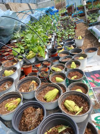 산성골농장님의 자유주제 · 자유게시판 작성글 사진