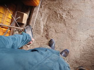 알 수 없음님의 자유주제 · 자유게시판 작성글 사진