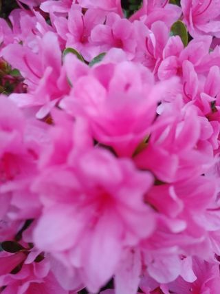 안길원님의 자유주제 · 자유게시판 작성글 사진