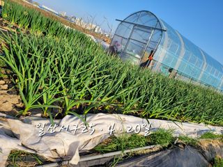 권정회님의 자유주제 · 자유게시판 작성글 사진