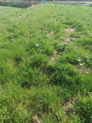 무료지식나눔 팜닥터님의 자유주제 · 자유게시판 작성글 사진