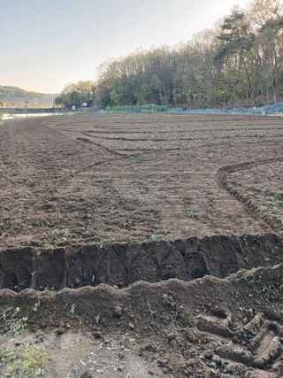 전국하님의 자유주제 · 자유게시판 작성글 사진