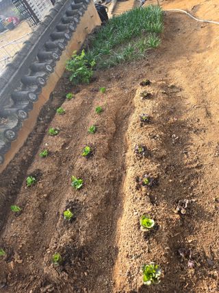 자연인님의 자유주제 · 자유게시판 작성글 사진