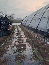 팜모닝 자유주제·자유게시판 게시글 이미지