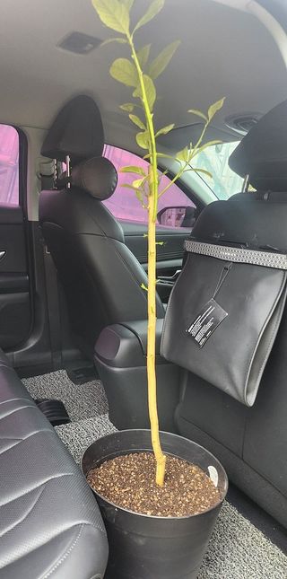 정미리님의 자유주제 · 자유게시판 작성글 사진