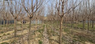 기중권님의 자유주제 · 자유게시판 작성글 사진