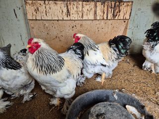 천운산님의 작성글 사진