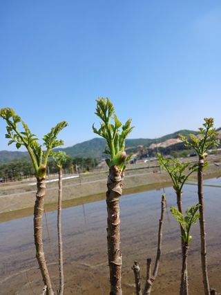 전국하님의 자유주제 · 자유게시판 작성글 사진