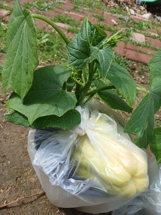 산성골농장님의 자유주제 · 자유게시판 작성글 사진