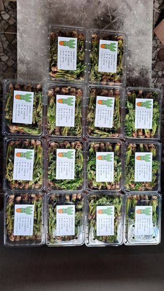 이상헌님의 작성글 사진