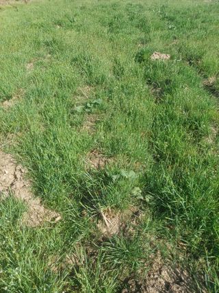 무료지식나눔 팜닥터님의 자유주제 · 자유게시판 작성글 사진