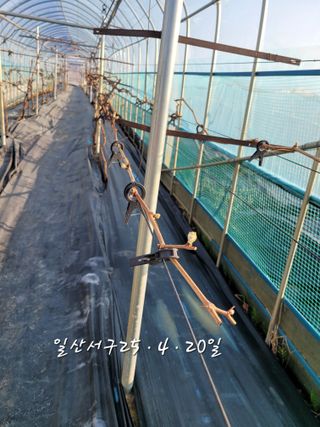 권정회님의 자유주제 · 자유게시판 작성글 사진