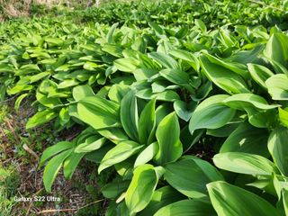 봉화랜드님의 자유주제 · 자유게시판 작성글 사진