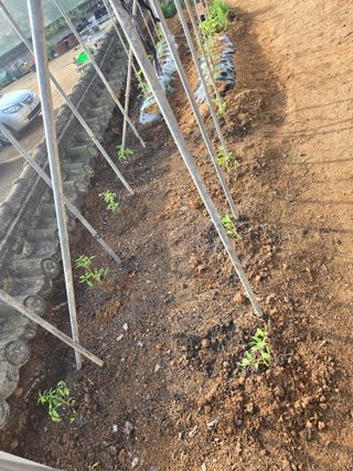 자연인님의 자유주제 · 자유게시판 작성글 사진