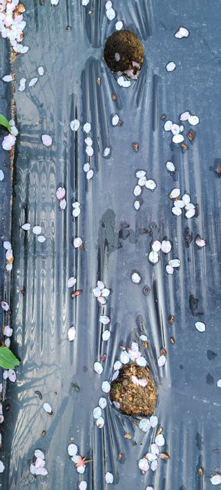 정진해님의 자유주제 · 자유게시판 작성글 사진