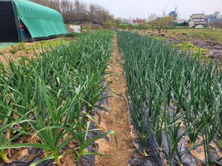 태산님의 자유주제 · 자유게시판 작성글 사진