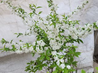 하은와송~♡♡♡~님의 자유주제 · 자유게시판 작성글 사진