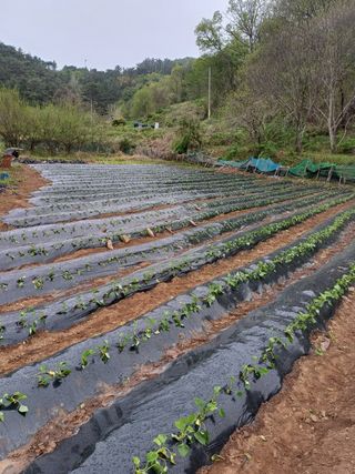 양정순님의 자유주제 · 자유게시판 작성글 사진