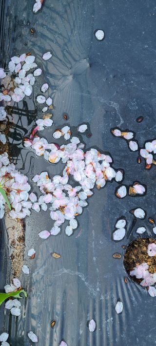 정진해님의 자유주제 · 자유게시판 작성글 사진