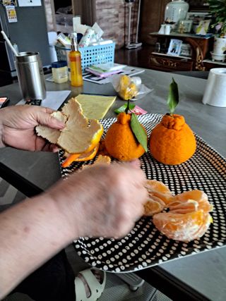 최한기님의 자유주제 · 칭찬해요 작성글 사진