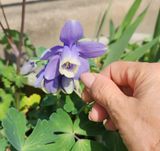 팜모닝 자유주제·자유게시판 게시글 이미지