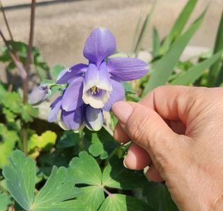 하은와송~♡♡♡~님의 자유주제 · 자유게시판 작성글 사진