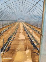 팜모닝 자유주제·자유게시판 게시글 이미지