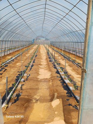 귀촌좋아....님의 자유주제 · 자유게시판 작성글 사진