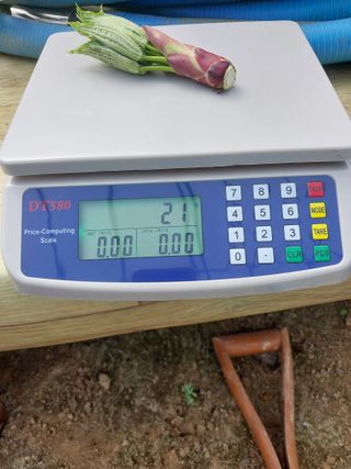 서산팔봉농원님의 자유주제 · 자유게시판 작성글 사진