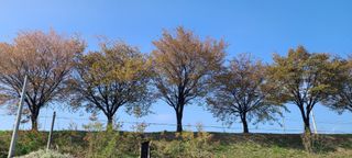 정진해님의 자유주제 · 자유게시판 작성글 사진