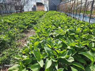 봉화랜드님의 자유주제 · 자유게시판 작성글 사진