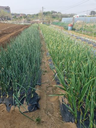 유일기님의 자유주제 · 자유게시판 작성글 사진