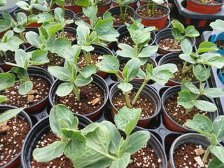 산성골농장님의 자유주제 · 자유게시판 작성글 사진