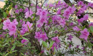 하은와송~♡♡♡~님의 자유주제 · 자유게시판 작성글 사진