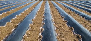 정진해님의 자유주제 · 자유게시판 작성글 사진