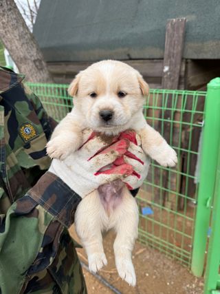 최재원 님의 자유주제 · 자유게시판 작성글 사진