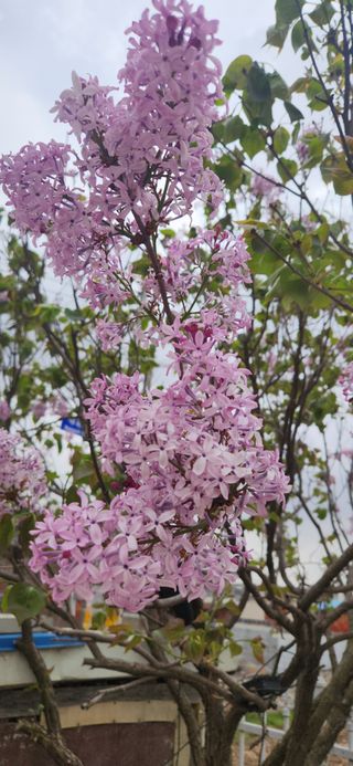 하은와송~♡♡♡~님의 자유주제 · 자유게시판 작성글 사진