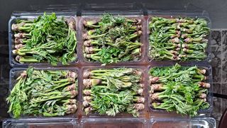 이상헌님의 작성글 사진