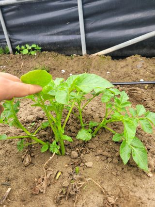 임한혁님의 자유주제 · 자유게시판 작성글 사진