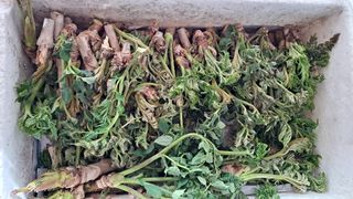 이상헌님의 자유주제 · 자유게시판 작성글 사진