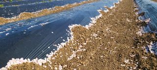 정진해님의 자유주제 · 자유게시판 작성글 사진