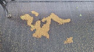 MSG0074님의 자유주제 · 자유게시판 작성글 사진