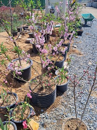 김석현님의 자유주제 · 자유게시판 작성글 사진