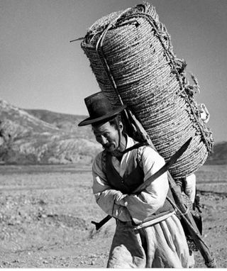 권리를위한투쟁님의 자유주제 · 자유게시판 작성글 사진