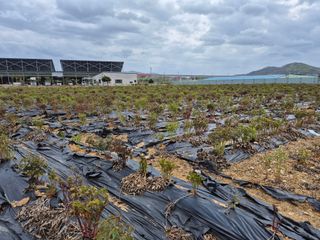 약초다지님의 자유주제 · 자유게시판 작성글 사진