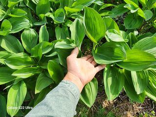 봉화랜드님의 자유주제 · 자유게시판 작성글 사진