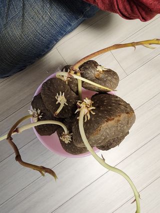 고추20787님의 자유주제 · 건의해요 작성글 사진