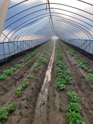 임한혁님의 자유주제 · 자유게시판 작성글 사진