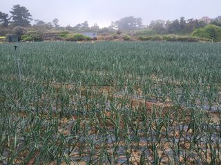 문광석님의 자유주제 · 자유게시판 작성글 사진