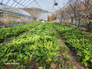 봉화랜드님의 자유주제 · 자유게시판 작성글 사진